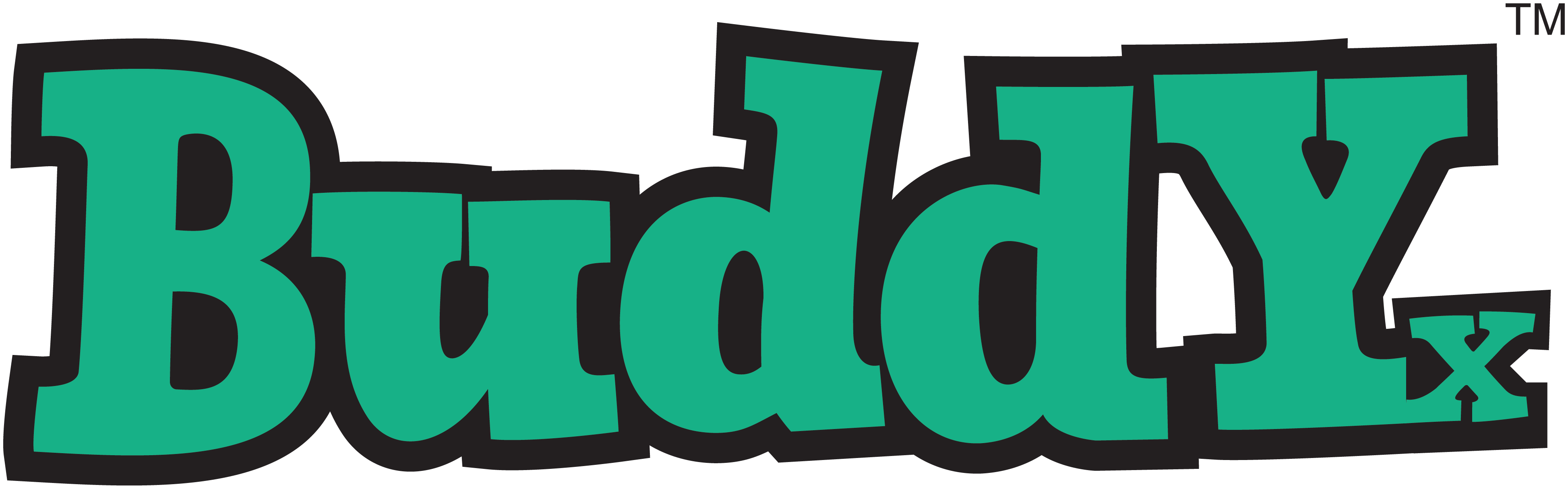 BuddyX